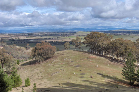 bushwalk